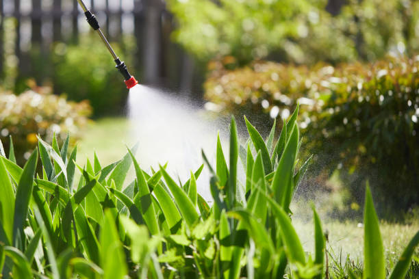 24/7 Emergency Termite Control experts in Williams, AZ